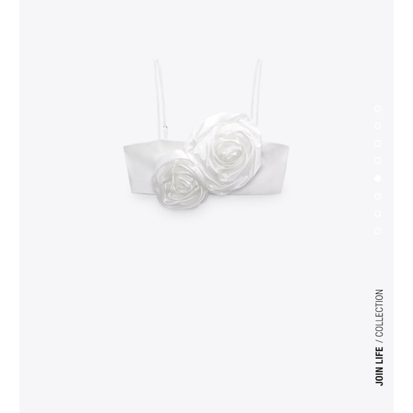 *last one*Zara BLOGGERS FAV floral appliqué crop top - Picture 3 of 7